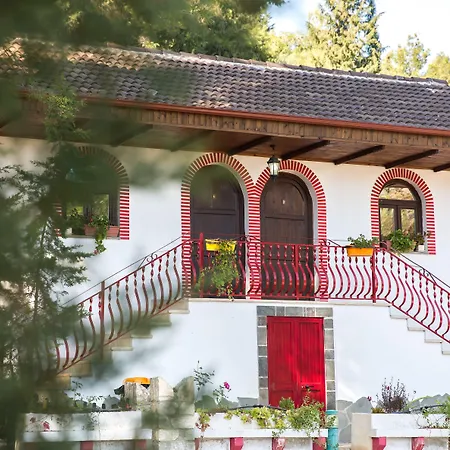 Hotel Castle Park 3*