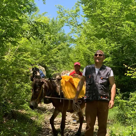 Castle Park 3* Berat