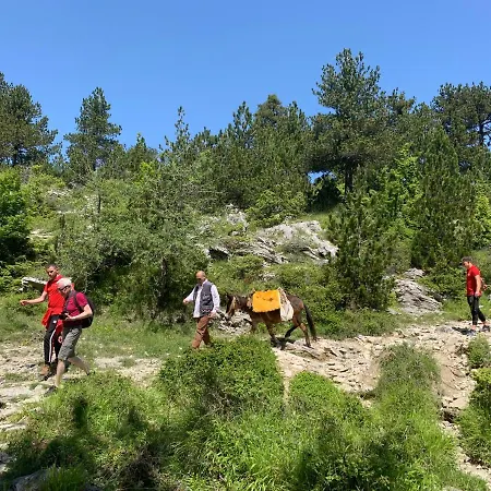 Hotel Castle Park 3*